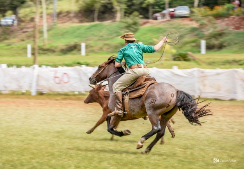 11º Rodeio Crioulo de Porto Mauá bate recorde de Público